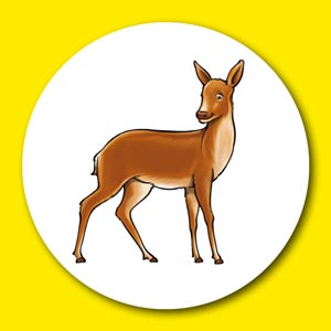 Seite 1 von 48
